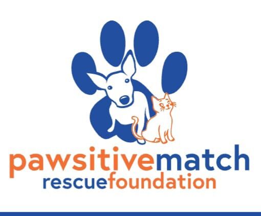 Pawsitive Match Rescue Foundation