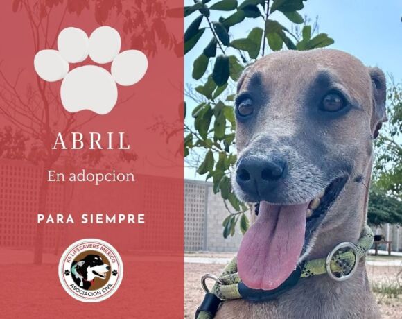 Abril