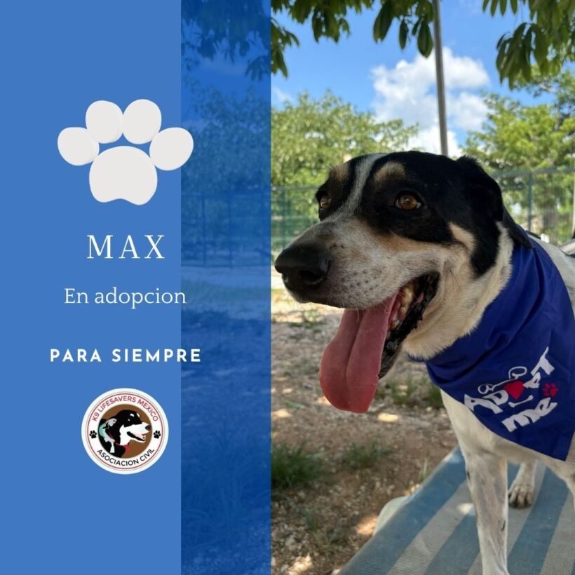 Max Max